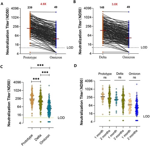 Figure 1. Neutralizing antibody production following booster vaccination. (A, B) Neutralization titres against the prototype, Delta, and Omicron SARS Cov-2 variants in individuals after the third vaccination within 2 months. The limitation of detection (LOD) was 1:10. Titres below the LOD were set to 0.5 times the LOD. Numbers in black above each virus strain are geometric mean titers (GMT) of the neutralization titers (ND50) resulting in serum pseudovirus neutralization test. Numbers in red denote fold-change in GMT between different pseudovirus. (C) Comparison of neutralization titres against the prototype, Delta, and Omicron SARS Cov-2 variants in individuals after the third vaccination within 2 months (n = 200, P-values were obtained by the unpaired t-test, ***P < 0.0001). (D) Neutralization activity of sera from individuals at various time points after booster immunization against different SARS Cov-2 variants. Prototype, 1 month vs 2 months: P = 0.4698, Delta variant, 1 month vs 2 months: P = 0.97, Omicron variant, 1 month vs 2 months: P = 0.46; ns, not significant.