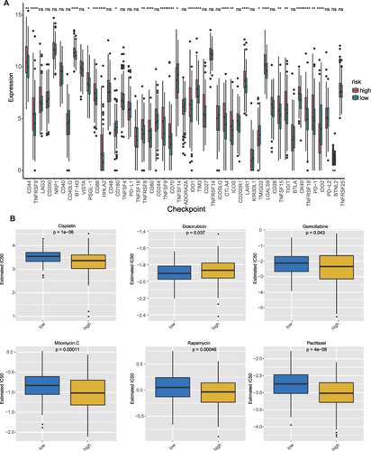 Figure 8 Immune checkpoint expressions and chemotherapy response in two risk subgroups (A) Immune checkpoint expressions in high risk group and low risk group. (B) IC50 value of chemotherapeutic drugs in high risk group and low risk group. ns=not significant, * P < 0.05, ** P < 0.01, *** P < 0.001, **** P < 0.0001.