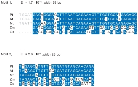 Figure 9 Sequence alignments for the motifs 1 and 2. Blue color indicates identity to the consensus sequence. The left flank of motif 1 shows the extension of this motif in dicots.