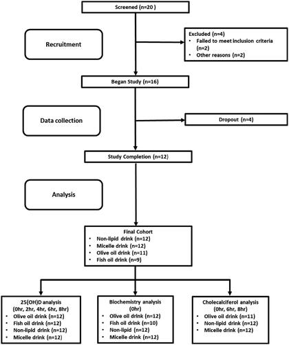 Figure 1. Flowchart of study progression.