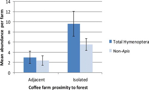 Figure 2. Mean number of total Hymenoptera/non-Apis Hymenoptera observed during rainy (nonflowering) seasons for adjacent vs. isolated farms (n = 12, error bars are ±SE). Differences between adjacent and isolated for neither group were statistically significant (t = −1.97, p = .06 for total Hymenoptera; t = −1.72, p = .10 for non-Apis).