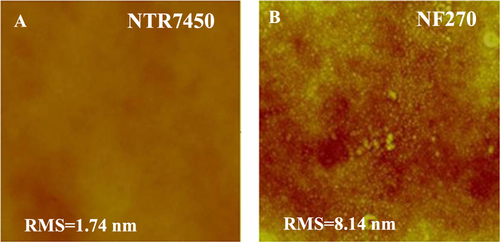 Figure 1. In situ AFM images (scan size 5 × 5 μm2, z-scale 500 nm) of (A) NTR7450 and (B) NF270.