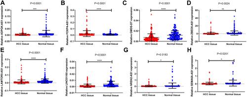 Figure 3 Expression of 8 lncRNAs in 251 pairs of matched HCC tissues and adjacent normal tissues. *p < 0.05, **p < 0.01, ***p < 0.001, ****p < 0.0001. (A) ADPGK-AS1, (B) FOXP4-AS1, (C) GMDS-DT, (D) ZBED5-AS1 (E) LAMTOR5-AS1, (F) LINC01160, (G) NRSN2-AS1, (H) SEMA6A-AS1.