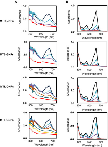 Figure 3 Physicochemical characterization of MTR-, MTS-, MTL-, and MTF-GNPs.Notes: (A) XRD pattern and (B) FTIR spectra of MTR-, MTS-, MTL-, and MTF-GNPs.Abbreviations: XRD, X-ray diffraction; FT-IR, Fourier transform-infrared spectroscopy; MTR-, MTS-, MTL-, and MTF-GNPs, Maclura tricuspidata root-, stem-, leaf-, and fruit-extract-gold nanoparticles, respectively.