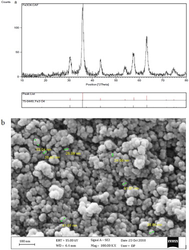 Figure 1. (a) Representative XRD pattern of the nano-Fe3O4 and (b) SEM image of nano-Fe3O4.