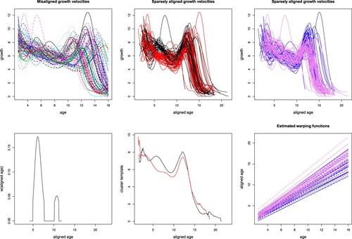 Figure 8. Results of sparseKMA on the Berkeley Growth Study data. Top-left, original growth velocities; top-centre, clustered and aligned growth velocities via sparseKMA with 2 clusters, coloured according to the estimated cluster labels; top-right, same as top-centre but coloured darker for boys and lighter for girls; bottom-left, estimated weighting function; bottom-centre, estimated templates, with labels colouring (as above); bottom-right, estimated warping functions, with gender colouring (as above).