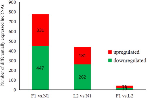 Figure 1. Number of differentially expressed lncRNAs identified from each comparison.