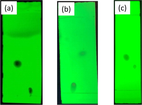 Figure 1. (a) TLC of p-chloroaniline (2a, left) and N-(4-chloro)maleanilic acid (3a, right). (b) TLC of N-(4-chloro)maleanilic acid (3a, left) and N-(4-chlorophenyl)maleimide (4a, right). (c) TLC of N-(4-chlorophenyl)maleimide (4a, left) and Diels–Alder product (6a, right). TLCs were performed using silica-gel plates containing a fluorescent indicator and a 1:1 solvent system of hexane and ethyl acetate.