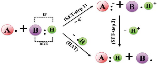 Scheme 1. Reaction mechanisms of single-electron transfer (SET) and hydrogen atom transfer (HAT).