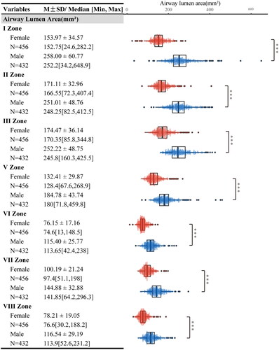 Figure 5. Comparative ALA by sex. This figure features a series of box-and-whisker plots with superimposed individual data points, displaying the distribution of airway lumen area (ALA) in square millimeters (mm2) for seven zones: I zone, II zone, III zone, V zone, VI zone, VII zone, and VIII zone. The plots are color-coded to differentiate between female (N = 456, in red) and male (N = 432, in blue) examinees, with each plot providing detailed statistics including mean ± standard deviation (SD), median, and the range [minimum, maximum]. Significant differences between sexes are indicated by asterisks (*** for p < 0.001).