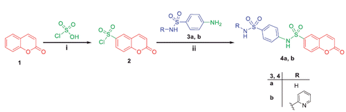 Scheme 1. Synthesis of target compounds 4a, b; Reagents and conditions: (i) Heating 100 °C, 4 h; (ii) EtOH/reflux 12 h.