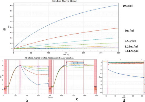 Figure 1. Bioinferometric analysis (BLI) of binding kinetics of RAB-1 with the intact and degraded vaccine. RAB-1 was immobilized on protein A sensor and different concentrations of intact and degraded rabies vaccine were studied for binding kinetics. (a) depicts a binding curve of intact rabies vaccine with RAB-1. (b, c) depict a comparative overview of binding curves of intact and degraded rabies antigen, respectively. (d) depicts nonspecific binding (NSB), blank Pro A biosensor dipped in highest concentration rabies antigen.