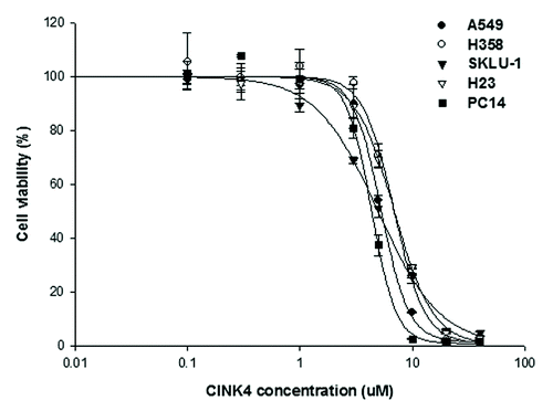 Figure 4. Anti-proliferative effect of a CDK4/6 inhibitor, CINK4, in 5 lung adenocarcinoma cell lines. When treated with various concentrations of CINK4 (0.1–40 μM), the anti-proliferative effects of CINK4 were similar for each cell line at 72 h. Cell viability was quantitatively measured by SRB assay and presented as a percentage of the control cell population. Each experiment was performed in triplicate. Data represent the mean ± SD.