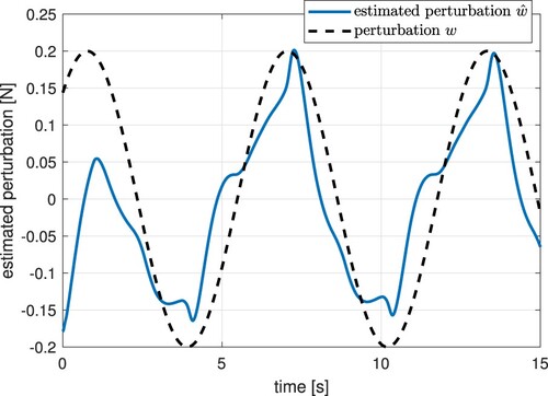 Figure 21. Estimated perturbation w^ (experiment).