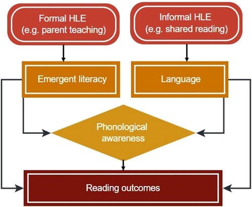 Figure 1. Importance of formal and informal home learning activities on reading outcomes (model based on Sénéchal & LeFevre, Citation2002).