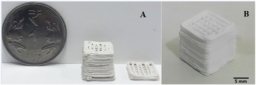 Figure 12. 3D printed (A) CS and (B) CP scaffold structures.
