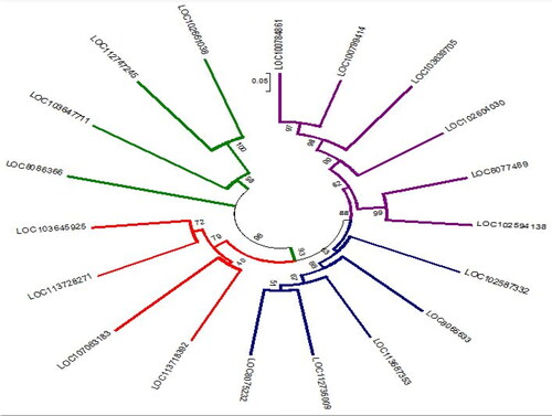 Figure 3. Phylogenetic tree of genes encoding for potassium transporter sequence from different crop species. The four classes were correspondingly colored in blue, red, green and violet. See the respective crop species in Table 1.
