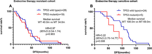 Figure 6 Survival analyses by Kaplan–Meier according to TP53 status in MBC receiving adjuvant endocrine therapy. (A) There was no significant difference in TP53 status in the endocrine therapy-resistant cohort. (B) TP53 wild-type patients had a significantly better clinical outcome than TP53-mutated patients in the endocrine therapy sensitive cohort.