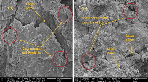 Figure 3. FESEM images for untreated marine clay (S).