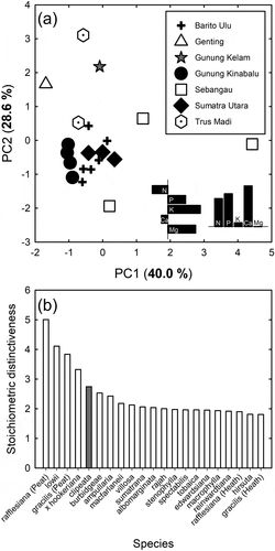 Figure 4. (a) Principal component analysis and (b) stoichiometric distinctiveness of the foliar ionome (N, P, K, Ca and Mg) of Nepenthes clipeata on Gunung Kelam, West Kalimantan, Indonesia, and other Nepenthes species from six locations in Sundaland. For (a), the two bar graphs in the bottom right of the panel represent the loadings on the two principal component axes; for (b), greater values on the y-axis indicate a more distinct ionome, i.e. the average difference between a species and all others in a multivariate space, the axes of which are the leaf nutrient concentrations. Where a habitat is noted after a species name, this indicates that this species’ ionome has been determined in two contrasting habitats by different studies. See Figure 3 legend for references to data sources.