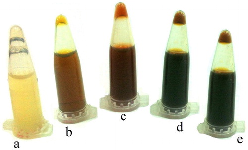 Figure 1. Color change of grass extract treated with silver nitrate. From left to right, there are grass extract 48 h after treatment with 0, 1, 2.5, 4 and 5 mM µg/ml of silver nitrate.