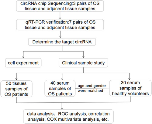 Figure 1 Flow chart of patient selection in the study and main study procedures.