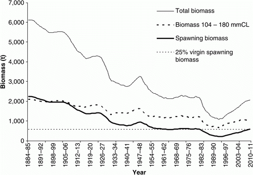 Figure 4.  Model-base median estimates of three components of biomass used as performance indicators in assessing the status of the eastern rock lobster stock. Medians are based on 1000 simulated data sets. The fine dotted line marks the trigger point level of 25% of virgin spawning biomass. Data are from Liggins et al. (Citation2011).