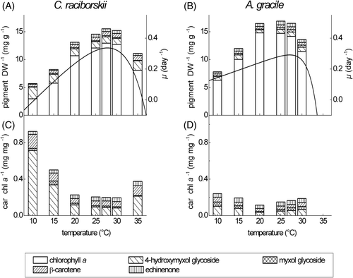 Fig. 2. Content of major lipophilic pigments per dry weight (DW) (mg g−1) and ratios of carotenoids (Car) to chlorophyll a (Chl a) (mg mg−1) of C. raciborskii strain 24G7 (A, C) and A. gracile strain 16D11 (B, D) grown at 80 µmol photons m−2 s−1 and seven temperatures from 10 to 35°C. Lines represent temperature-dependent growth curves (day−1) (A, B).