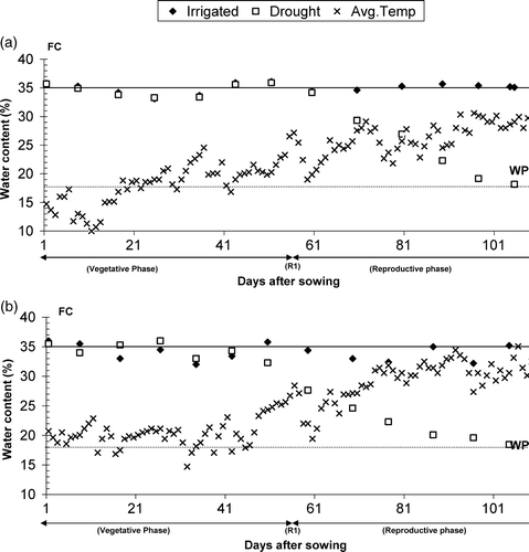 Figure 1.  Volumetric water content for sunflower genotypes irrigated for either the entire growing season (Irrigated) or only during vegetative development (Drought) plus average air temperature during the season (a) 2005 and (b) 2006. As a reference, field capacity (FC 35% v/v) and permanent wilting point (WP 18% v/v) are given as horizontal lines.