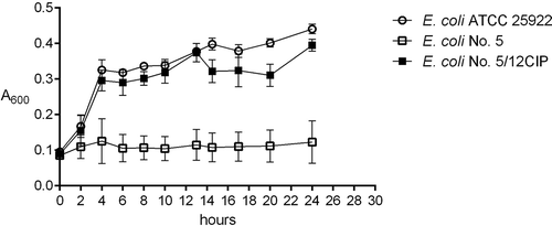 Figure 3. The examples of growth curves of the wild type (E. coli No. 5, negative control) and its derivative (E. coli No. 5/12CIP) upon treatment with the sub-MIC of antibiotics (amoxicillin or ciprofloxacin). The positive control of logarithmic growth curve was E. coli ATCC 25,922 incubated in optimal conditions. The absorbance level of the growth (A600) was measured every two hours. Each bar represents the mean with standard deviation, all measurements were performed in two independent experiments.