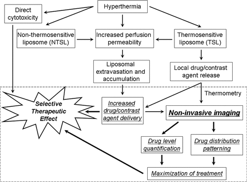Figure 1. Flow chart for improving the selective therapeutic effect of combination hyperthermia and liposomal therapies through the use of non-invasive imaging. This review focuses on the section inside the dashed box. Liposomal thermometry is described in this review in the section of the same name Citation[30], Citation[31]. Drug level quantification (chemodosimetry), drug distribution patterning, and maximization of treatment are described in this review in the section Liposomes, chemodosimetry, and drug distribution patterning Citation[10], Citation[11], Citation[34–36]. Other (background) block elements are described throughout this text and covered in depth in other reviews Citation[4], Citation[8], Citation[17].