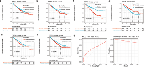 Figure 7. Survival analysis and construction of diagnostic ROC curve. (a-f) The survival analysis of the TRPV family in KIRC. The upregulation of TRPV3, TRPV5, and TRPV6 significantly reduced the overall survival rate of KIRC patients (P < 0.05). However, upregulation of TRPV4 expression was associated with a better prognosis (P < 0.05). (g) It was found that TRPV3 in TRPV family had a high diagnostic value for prognosis, and the AUC value fluctuated around 0.7.