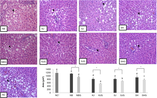 Fig. 3 Histological images (200×) of liver sections stained with hematoxylin and eosin (H&E) and area of the stored lipids in the liver of OVX rats fed with non-germinated and germinated rice grains. Values are means±SD (n=5). a–eMeans in the same group with different superscripts are significantly different at P<0.05 by Tukey's range test. (*) on the non-germinated rice group indicates significant difference (P<0.05) by independent t-test between germinated and non-germinated samples. 1NC; AIN-93M, NB; normal brown rice, KJ; Keunnunjami, SJ; Superjami, SH; Superhongmi, NBG; germinated normal brown rice, KJG; germinated Keunnunjami, SJG; germinated Superjami, SHG; germinated Superhongmi. The black arrows indicate the presence of lipid vacuoles in the liver tissue sample.