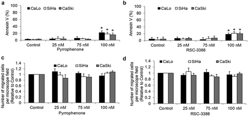 Figure 4. Inhibition of cPLA2α inhibits survival without affecting migration of cervical cancer cells. Pyrrophenone (a) and RSC-3388 (b) at 100 nM significantly induce apoptosis in cervical cancer cells. Pyrrophenone (c) and RSC-3388 (d) up to 100 nM do not affect cervical cancer migration.