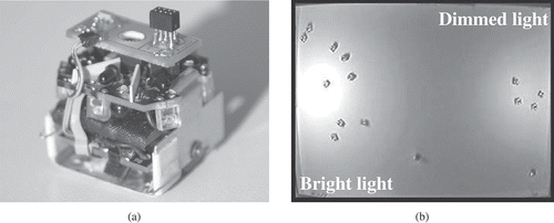 Figure 3. (a) A single Jasmine III robot. (b) A swarm of Jasmine III robots in a real-life experiment. Most of the robots are aggregated in the bright area of the arena. Reprinted from [Citation15].