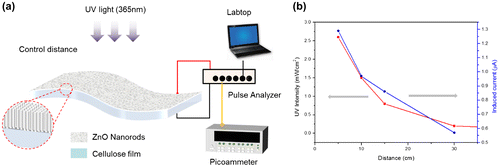 Figure 5. (a) Schematic of UV photoresponse test setup (b) UV intensity at various distances from the UV source.