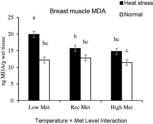 Figure 2. Interaction effect of methionine (Met) levels and temperature on breast muscle lipid peroxidation (ng MDA/g wet tissue) of broilers reared under normal or heat stress conditions. ‘Low-DL or L-Met, 30% lower that Ross 308 recommendation (2014)’; ‘Rec-DL or L-Met, Ross 308 recommended level’; ‘High-DL or L-Met, 30% more than Ross 308 recommendation’. Each of the four-factor combinations had five replicate pens of 10 birds each (r = 5). Values are means with their standard deviations represented by vertical bars. a–cMeans without common superscript are significantly different (p < .05).
