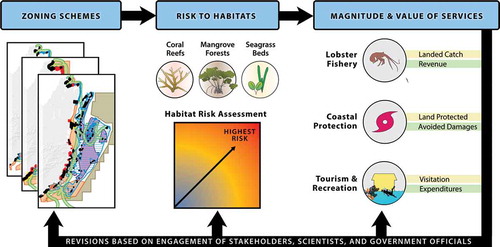 Figure 4. Conceptual model of the stakeholder-driven process undertaken by CZMAI and NatCap to co-develop methods, tools, and results. Risk to habitats posed by the intensity and distribution of human activities described in zoning scenarios can alter ecosystem function and its ability to provide services (habitat risk assessment). InVEST models were applied in Belize to map and measure this risk and then to map and value three ecosystem services in biophysical and economic units.