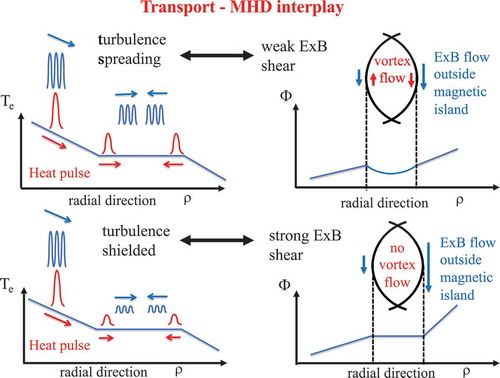 Figure 46. Diagram of transport and MHD interplay.