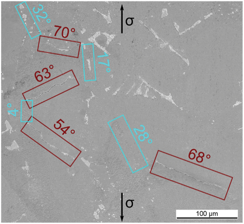 Figure 15. SEM of a longitudinal section of a pre-strained specimen with marked grain boundaries and the angle to the loading direction: blue) undamaged grain boundaries; red) grain boundaries with creep damage; Rσ = −1, σa/σUTS ~ 0.25, Nf = 330.174, εp = 1,0%.