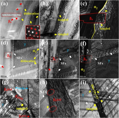 Figure 4. The defects interaction of aged sample after creep test using the diffraction vector at g = [1−11]. (a, d) HAADF images of β0 phase, the insert images is the CBED of the β0 phase; (b, e) TBBF images and (c, f) WBDF images of the interaction between interfacial β0 phase and defects, respectively; (g, h) TBBF image of the interaction between grain boundary β0(ω) phase and defects; (i) TBBF image of the interaction between lamellae and defects.