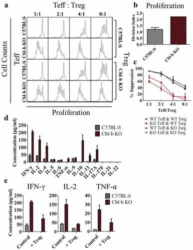 Figure 2. Cbl-b KO CD4+FoxP3− T cells display resistance to Treg-mediated suppression and enhanced cytokine secretion