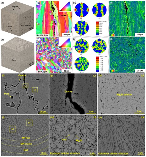 Figure 4. OM images of (a) the AA6061 and (e) the Al-Mg-Si-Ti alloys taken from the XY, YZ and XZ planes; EBSD-IPF maps, grain size distribution, pole figures and KAM image along the build direction: (b-d) the AA6061 alloy; (f-h) the Al-Mg-Si-Ti alloy; Typical solidification microstructure of (i-k) the AA6061 alloy, (l-n) the Al-Mg-Si-Ti alloy.