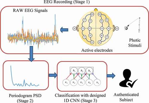 Figure 1. Proposed EEG-based authentication system block diagram.