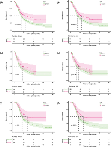 Figure 2 Kaplan‒Meier curves of overall survival after HAIC between the two groups in the full cohort (A) and in the matched cohort (B), after HAIC with < 4 cycles between the two groups in the full cohort (C) and in the matched cohort (D), and after HAIC with ≥ 4 cycles between the two groups in the full cohort (E) and in the matched cohort (F).