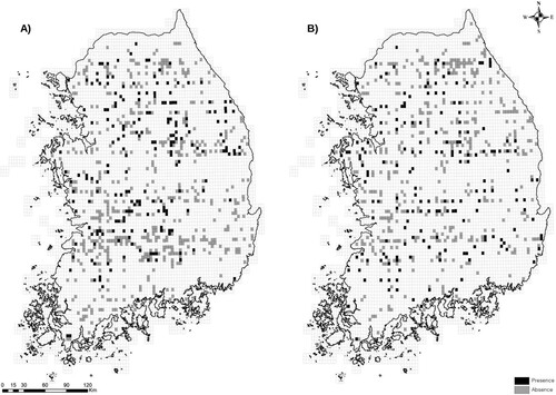 Figure 1. Distribution of the Great Spotted Woodpecker Dendrocopos major (A) and the Grey-headed Woodpecker Picus canus (B) in South Korea based on the National Ecosystem Survey conducted from 2006 to 2018. The grid squares and recording units were approximately 3.8 km × 4.6 km. Black indicates presence and grey indicates absence.