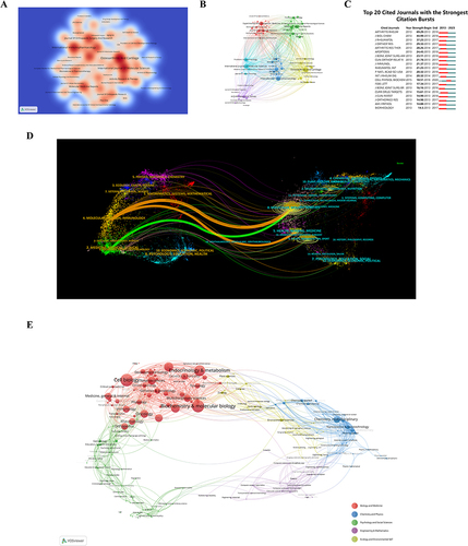 Figure 5 (A) Density Visualization Map of Journal Citations. The color intensity correlates directly with the volume of publications. (B) Journal Clustering Visualization Map. Circles and labels together form a node; the size of the circle is positively correlated with the journal’s publication volume, and colors represent different clusters. (C) Top 20 Journals with Strongest Citation Bursts in Publications related to Programmed Cell Death (PCD) in Osteoarthritis (OA). (D) Dual-map Overlay of Journals Related to PCD in OA. Every point in the graph signifies a journal, while the curves bridging the graph’s left and right parts represent citation connections. These trajectories offer insights into interdisciplinary relationships within the field and vividly showcase the inception and progression of citations. (E) Analysis of Research Subject Areas. Various colored spheres symbolize distinct converging fields.