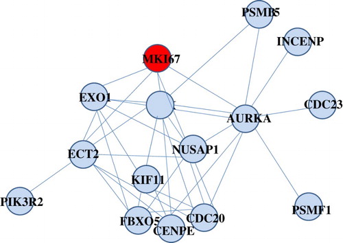 Figure 2. Composition of differential ego-network module 30 identified in the childhood ALL resistant to prednisolone treatment. Yellow node was ego gene.