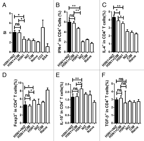 Figure 4. Effects of NIZ on T cell function. The splenocytes were separated 7 d after a single immunization and used to perform intracellular staining or for proliferation assay (n = 6). (A) The level of T-cell proliferation was assayed using MTT assay. The splenocytes were stimulated for 3 d in vitro using killed H5N1 antigen as a specific antigen, BSA as a non-specific antigen, or anti-CD3 as a positive control. Anti-CD28 was added as a co-stimulant in all reactions. Proliferative response was expressed as stimulation index (SI). Splenocytes were stimulated for 12 h in vitro using killed H5N1 antigen as a specific antigen and blocked with BFA for 8 h. The lymphocytes were first gated on CD4+ T cells then stained for intracellular IFN-γ (B), IL-4 (C), Foxp3 (D), IL-10 (E) and TGF-β (F), and analyzed by FACS. Representative results from three independent experiments are shown. All data are presented as mean ± SD *P < 0.05, **P < 0.01 compared with mice vaccinated with killed viral antigen alone.