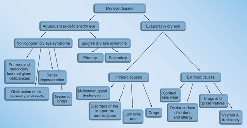 Figure 1. Etiopathogenic groups of dry eye disease.